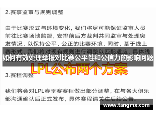 如何有效处理举报对比赛公平性和公信力的影响问题