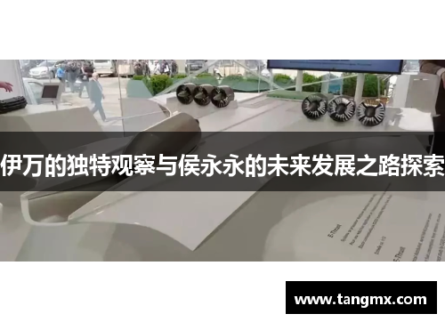 伊万的独特观察与侯永永的未来发展之路探索