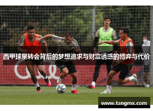西甲球星转会背后的梦想追求与财富诱惑的博弈与代价 西甲球星转会背后的梦想追求与财富诱惑的博弈与代价