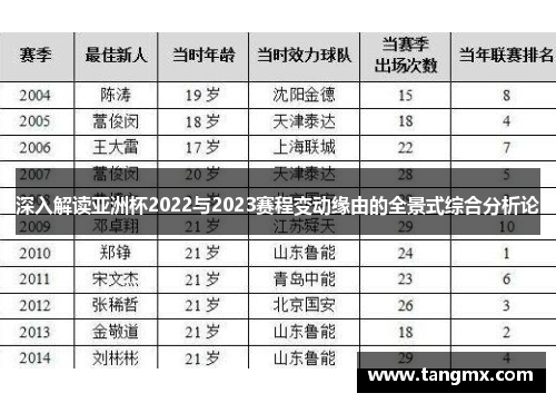 深入解读亚洲杯2022与2023赛程变动缘由的全景式综合分析论