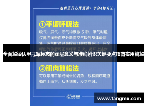 全面解读法甲冠军标志的深层意义与准确辨识关键要点指南实用篇解 全面解读法甲冠军标志的深层意义与准确辨识关键要点指南实用篇解