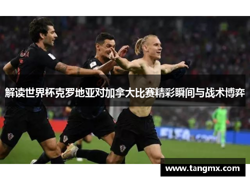 解读世界杯克罗地亚对加拿大比赛精彩瞬间与战术博弈