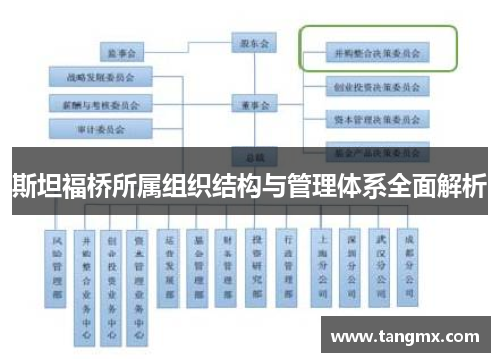 斯坦福桥所属组织结构与管理体系全面解析